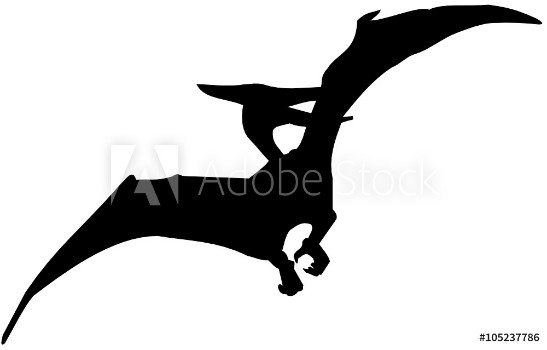 Picture of Pterosaur 